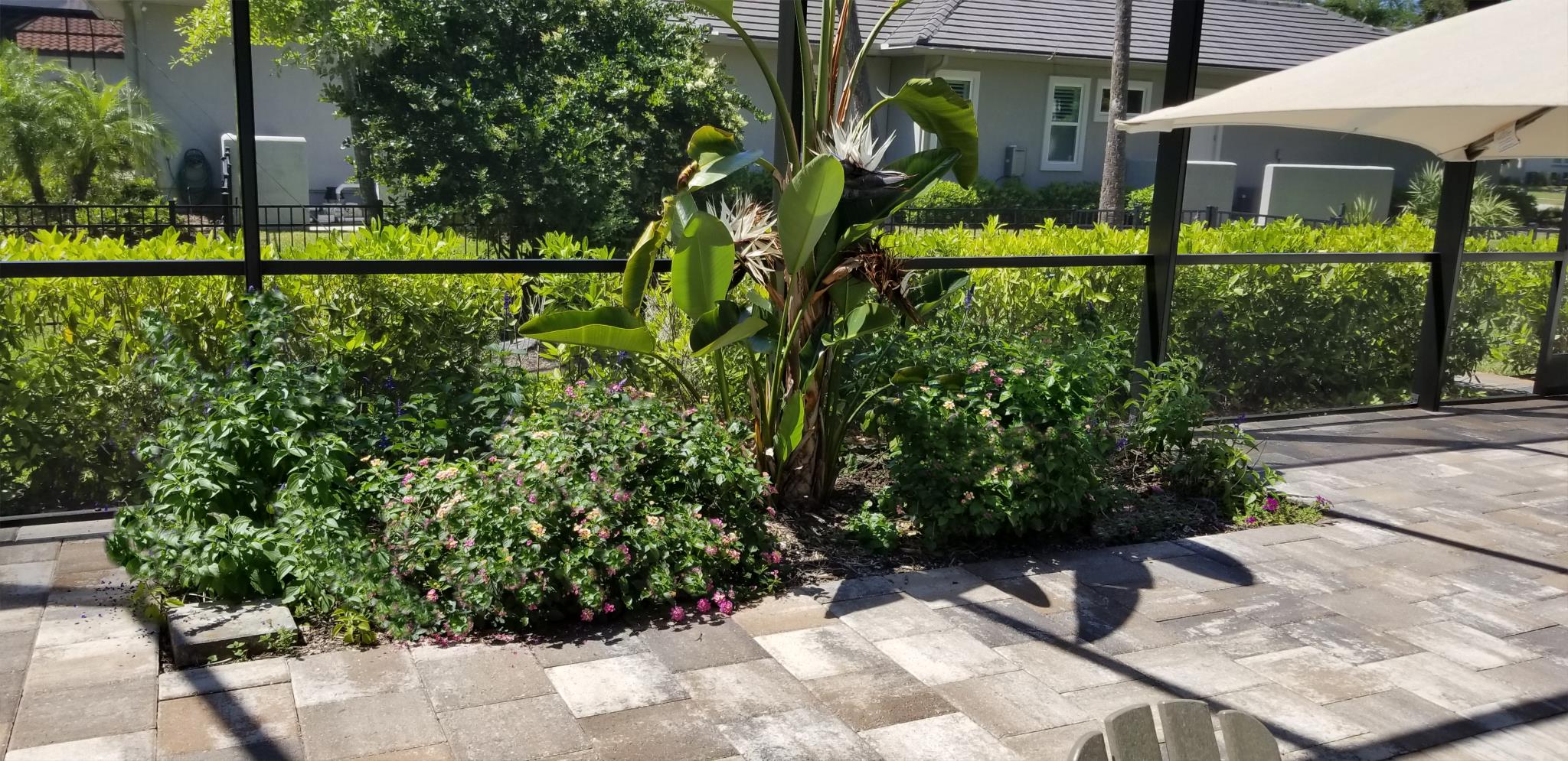 Before — Ocean View landscaping project