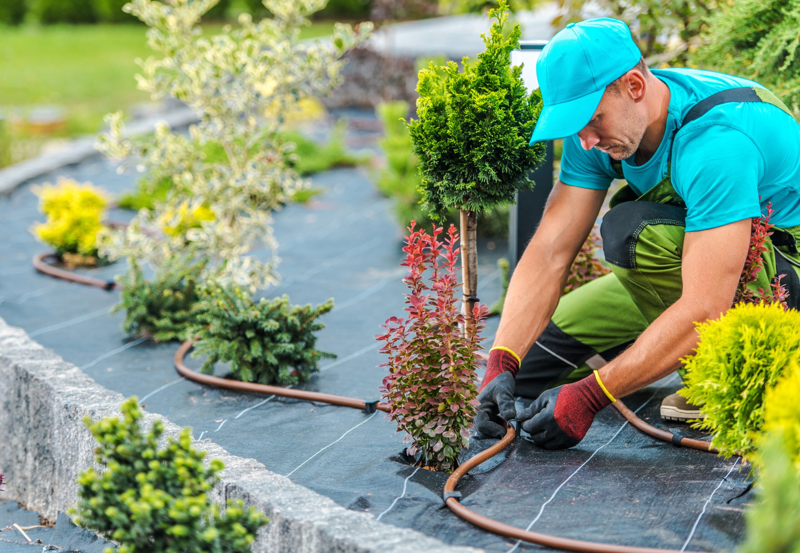 DIY-ing Irrigation Audits & Increasing Water Efficiency