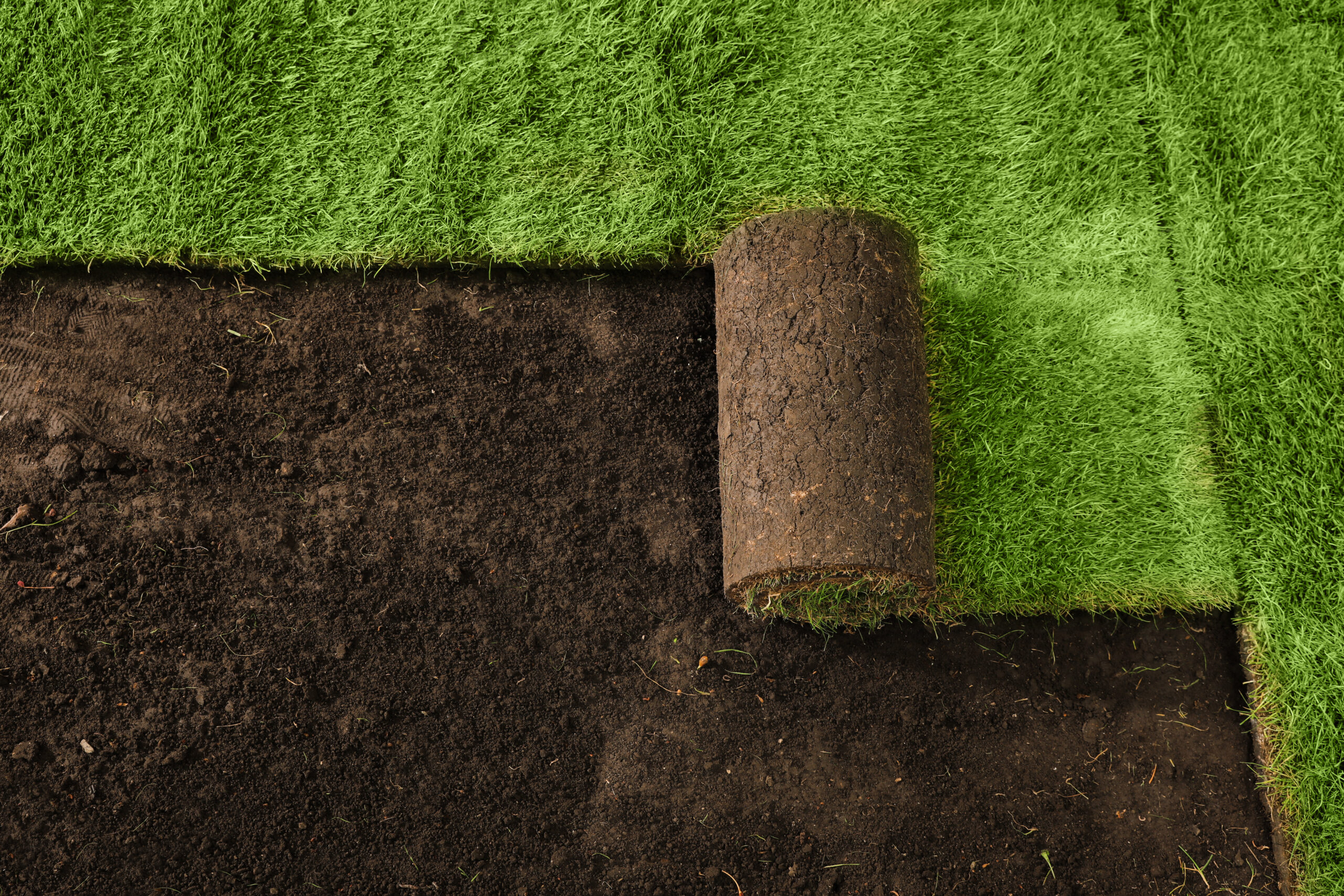 Why November Is Ideal for New Sod in Florida