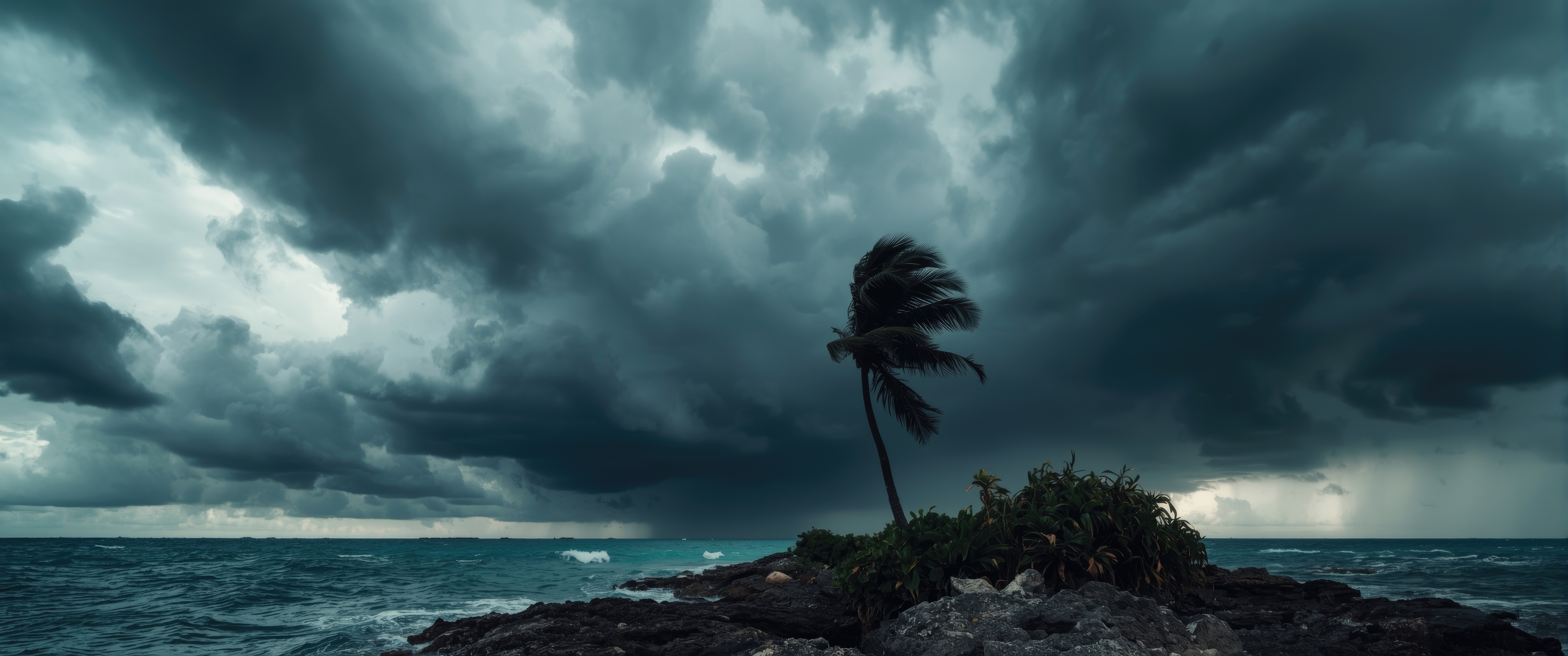 Preparing Your Commercial Landscape for FL’s Rainy Season