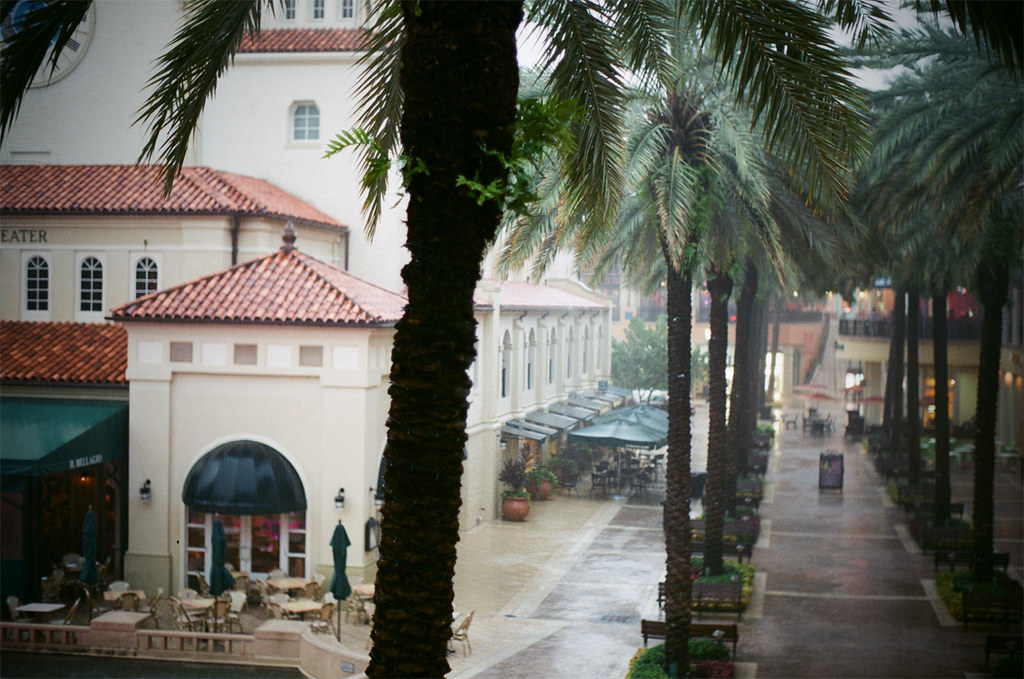 Hurricane Season Prep: Protecting Your Commercial Landscape
