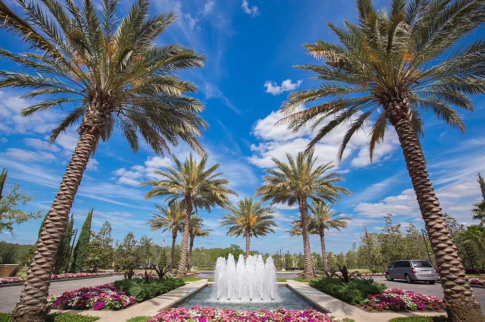 https://oceanviewlandscapemgmt.com/wp-content/uploads/2020/02/Palms-and-Fountain2.jpg