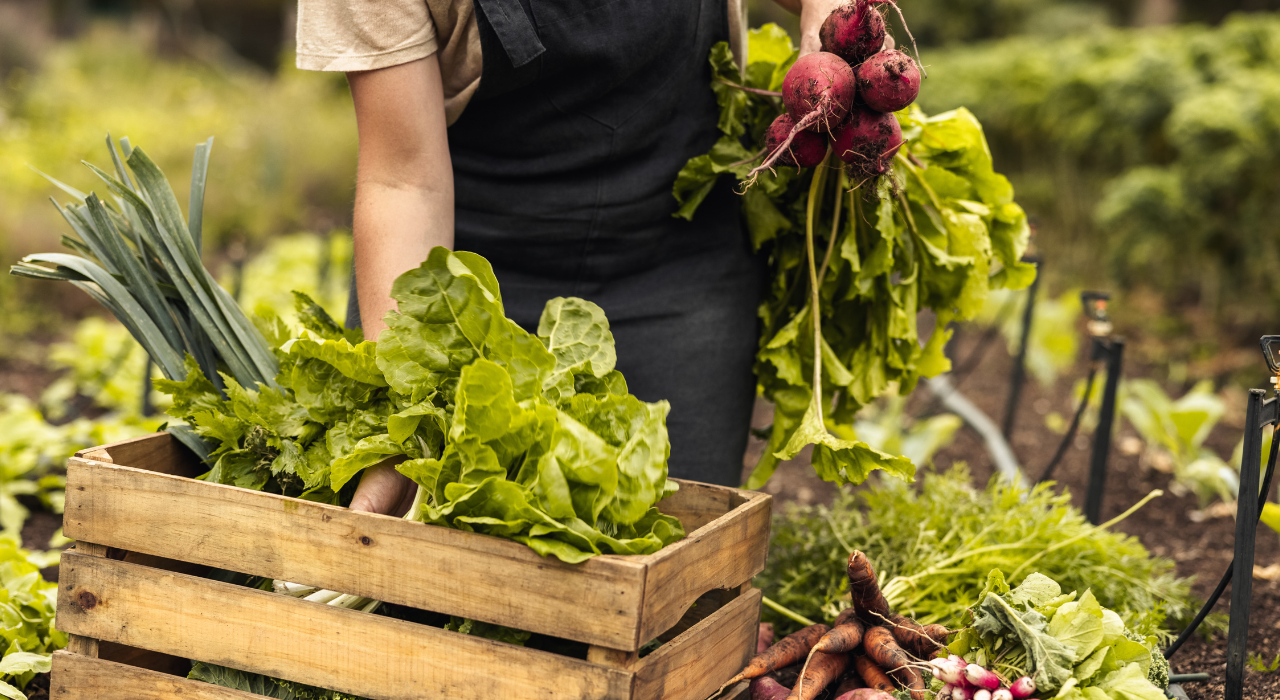 Floridian Fall Gardening: The Dos and Don’ts