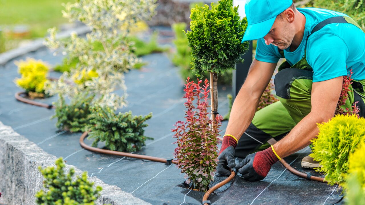 DIY-ing Irrigation Audits & Increasing Water Efficiency